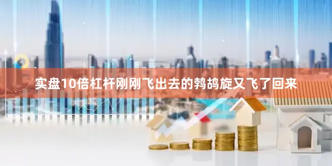 实盘10倍杠杆刚刚飞出去的鹁鸪旋又飞了回来
