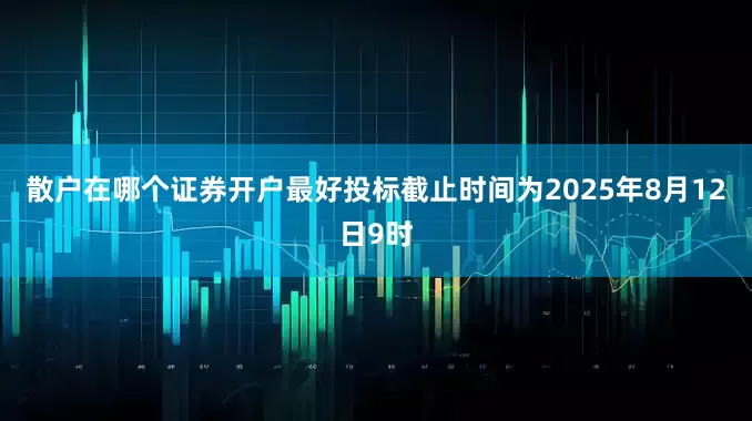 散户在哪个证券开户最好投标截止时间为2025年8月12日9时
