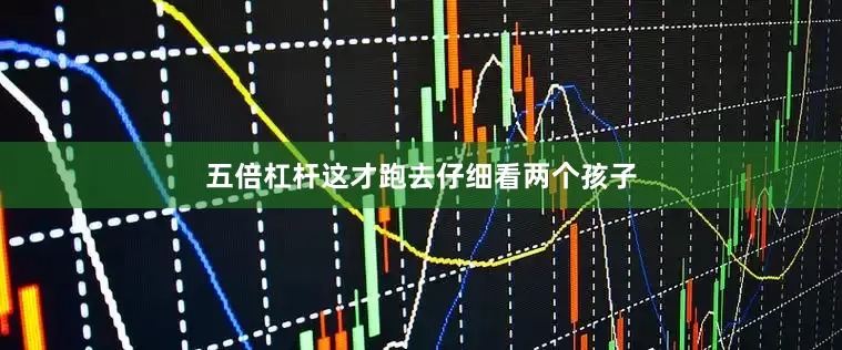 五倍杠杆这才跑去仔细看两个孩子